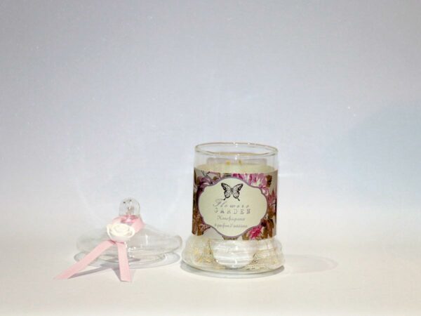 plaster-in-jar-rose-collection