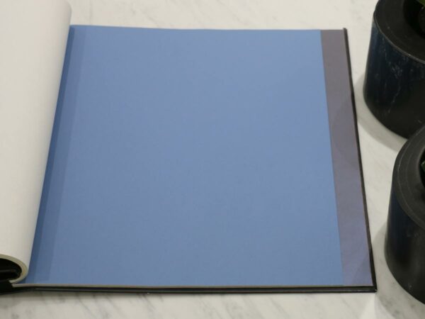 fiona-colours-311036
